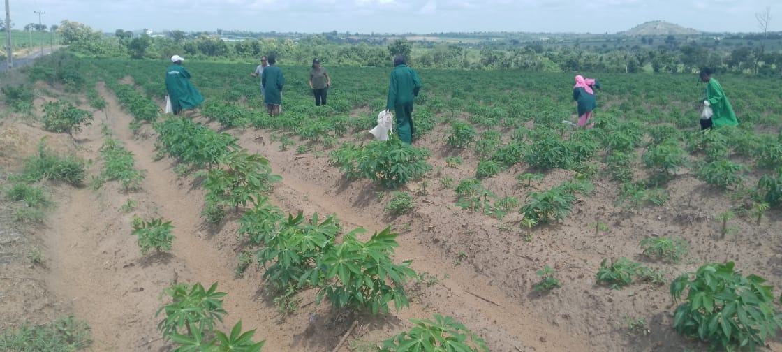 Women-led agricultural farm